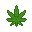 Cannabis.png
